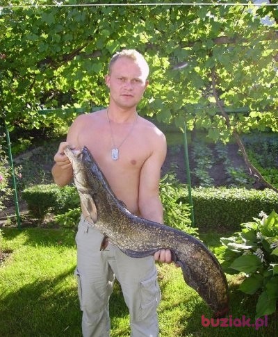 daglas01, Male, 40, Hrubieszów, Polska: 1