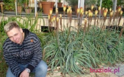 Alwaronysa, Male, 36, Nysa, Polska: 1