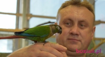 Artur, Mężczyzna, 51, Stanley, Wielka Brytania, Zdjęcie: 1