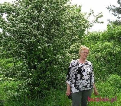 Jagoda, Female, 79, Tarnów, Polska, Photo: 1