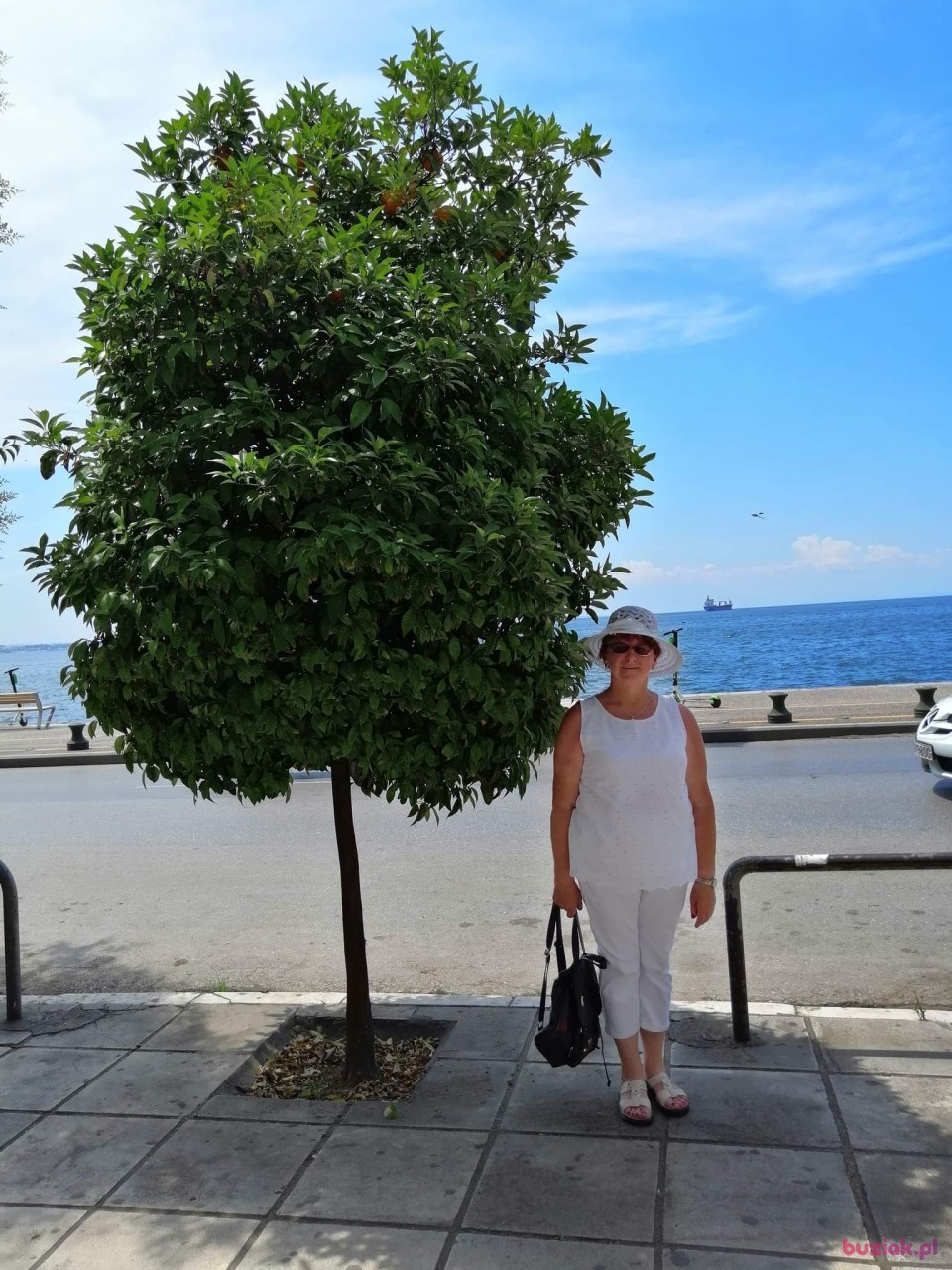 wiesia, Female, 73, Bardo, Polska: 1