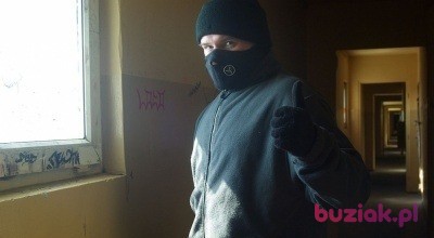 Mikołaj, Mężczyzna, 37, Wrocław, Polska, Zdjęcie: 3