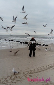Aneri51, Female, 73, Ostrów Wielkopolski, Polska, Photo: 3