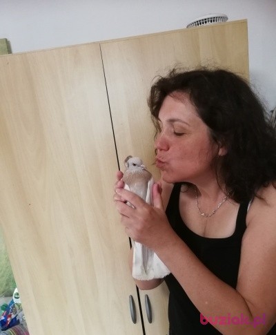 BasiaKasia, Kobieta, 54, Dusseldorf North Rhine Westphalia, Niemcy: 1