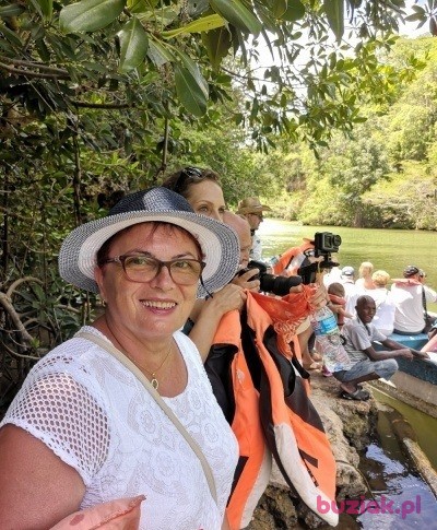 Elżbieta, Female, 71, Ostrołęka, Polska, Photo: 9