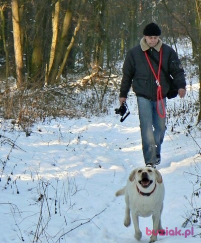 Piotr, Male, 59, Niemcy, Photo: 2