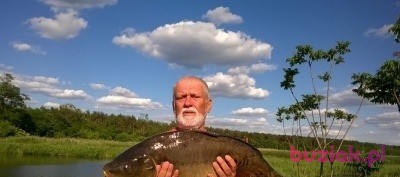 robert, Mężczyzna, 67, Warszawa, Polska, Zdjęcie: 6