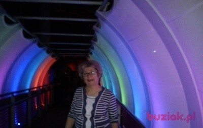 Marysia, Kobieta, 70, Zduńska Wola, Polska, Zdjęcie: 4