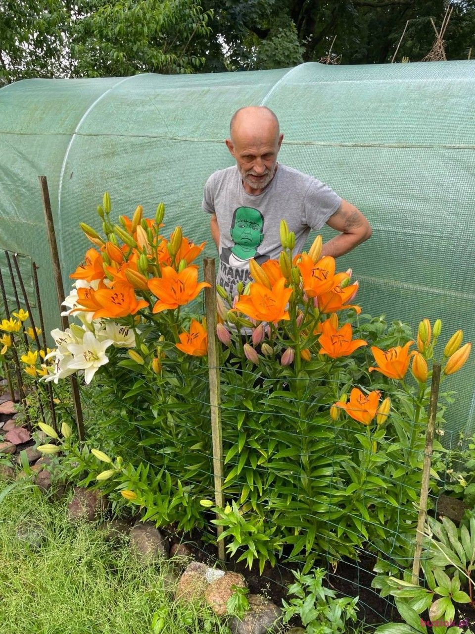 Janek, Male, 61, Głogów, Polska, Photo: 10
