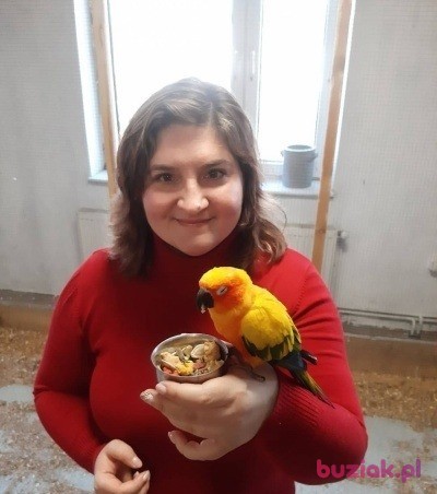 Inusia, Kobieta, 42, Łódź, Polska, Zdjęcie: 7
