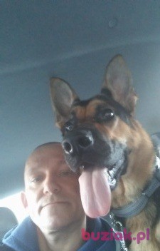 piotrek, Mężczyzna, 41, Bytom, Polska, Zdjęcie: 2