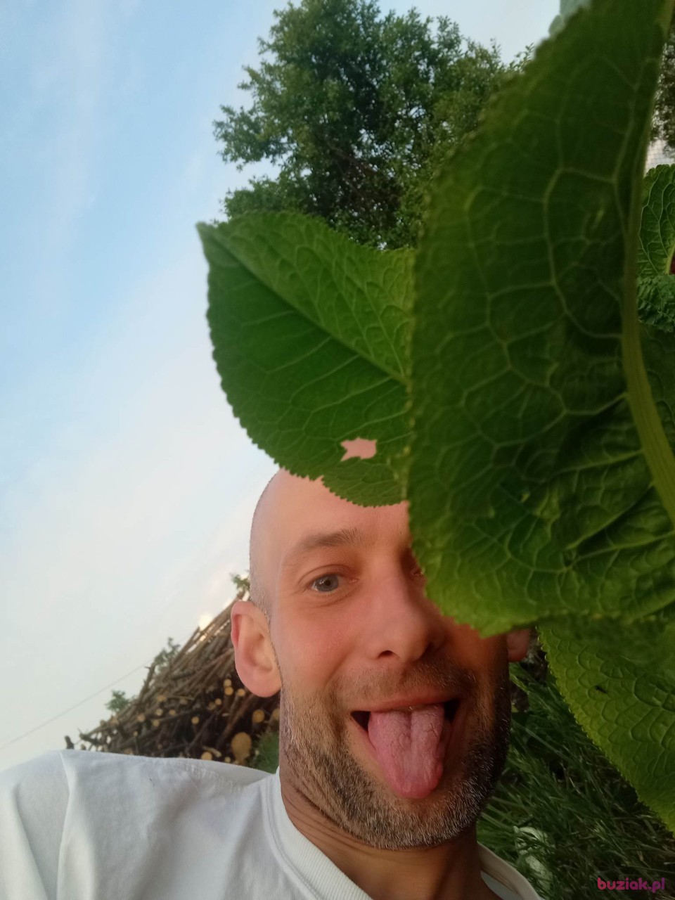 Patryk, Mężczyzna, 39, Bełchatów, Polska: 1