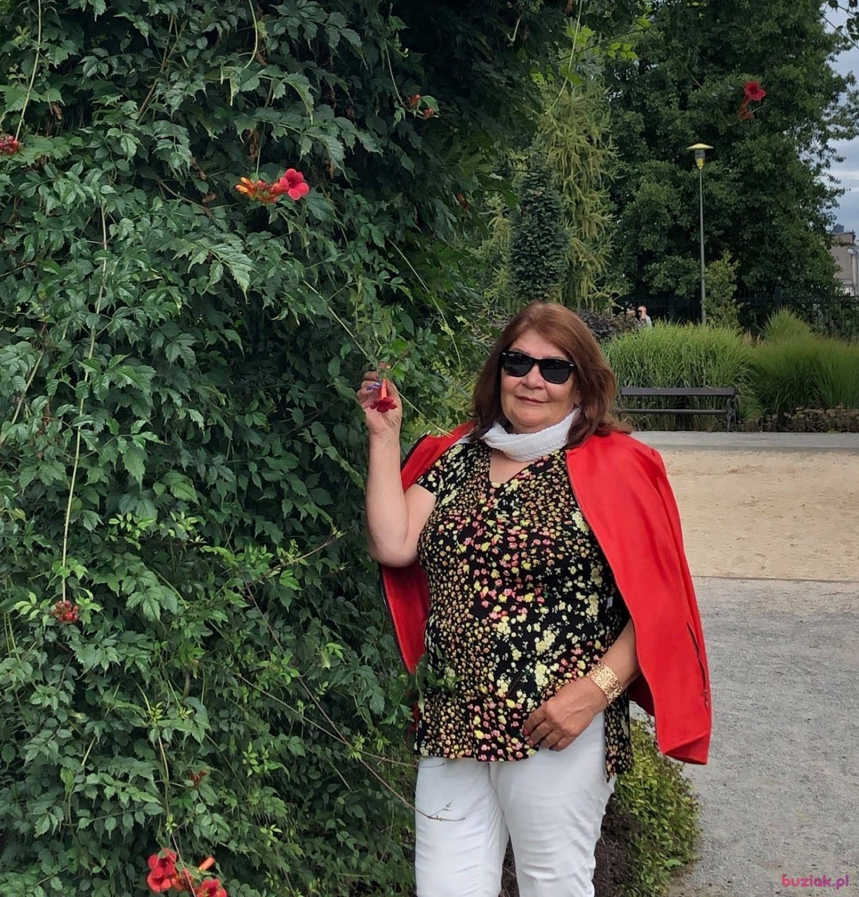 Paulina , Kobieta, 67, Wrocław, Polska, Zdjęcie: 12