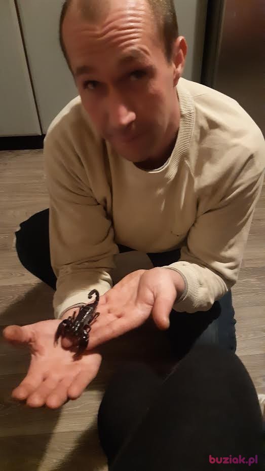 adas, Male, 43, Piotrków Trybunalski, Polska, Photo: 3