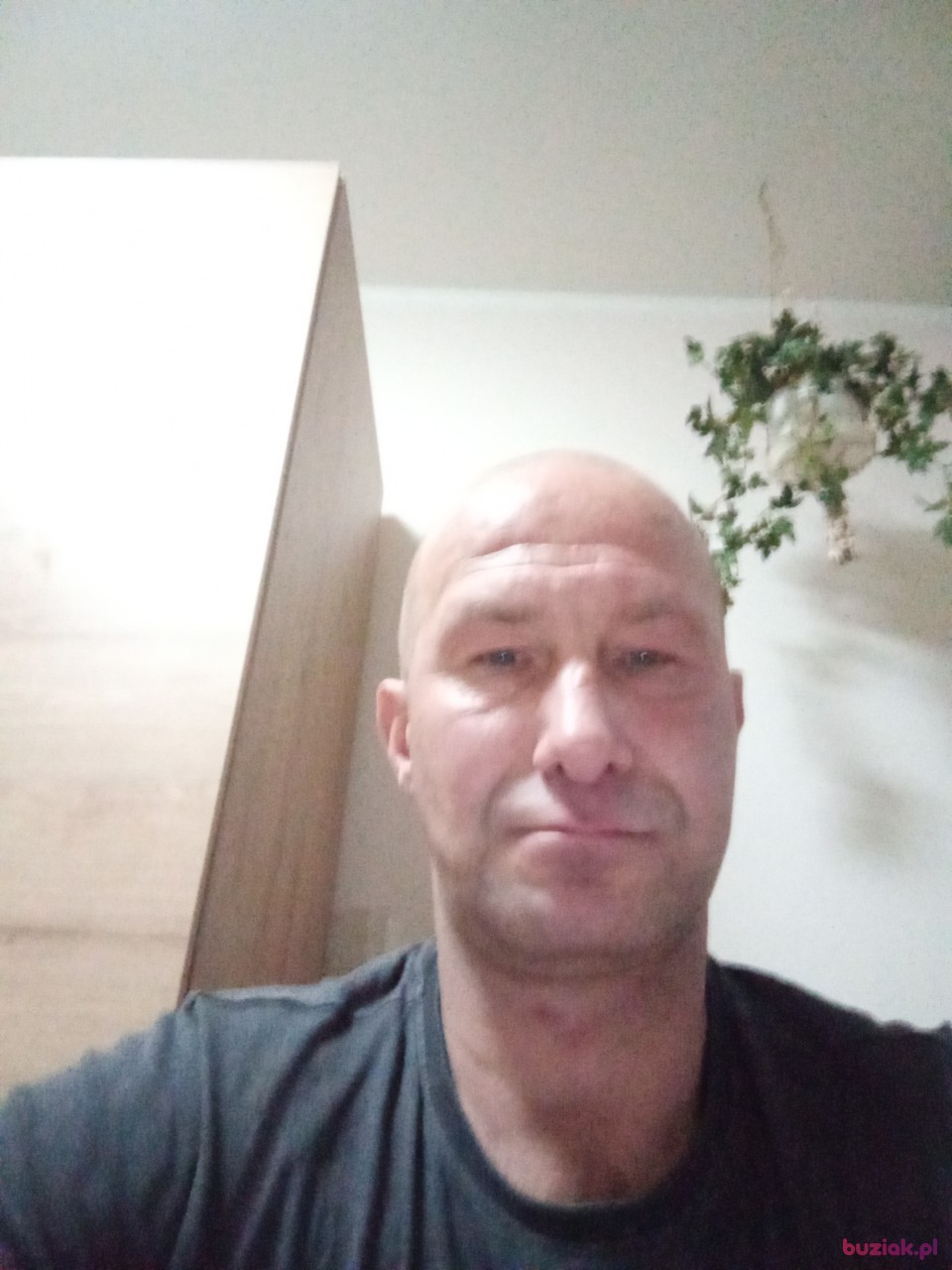 przemek, Male, 42, Lębork, Polska: 1