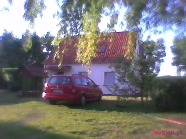 Jan, Mężczyzna, 75, Korsze, Polska, Zdjęcie: 5