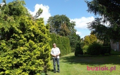 Agroman, Mężczyzna, 65, Koszalin, Polska, Zdjęcie: 2