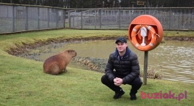 Kamil, Male, 30, Rotherham, Wielka Brytania, Photo: 1