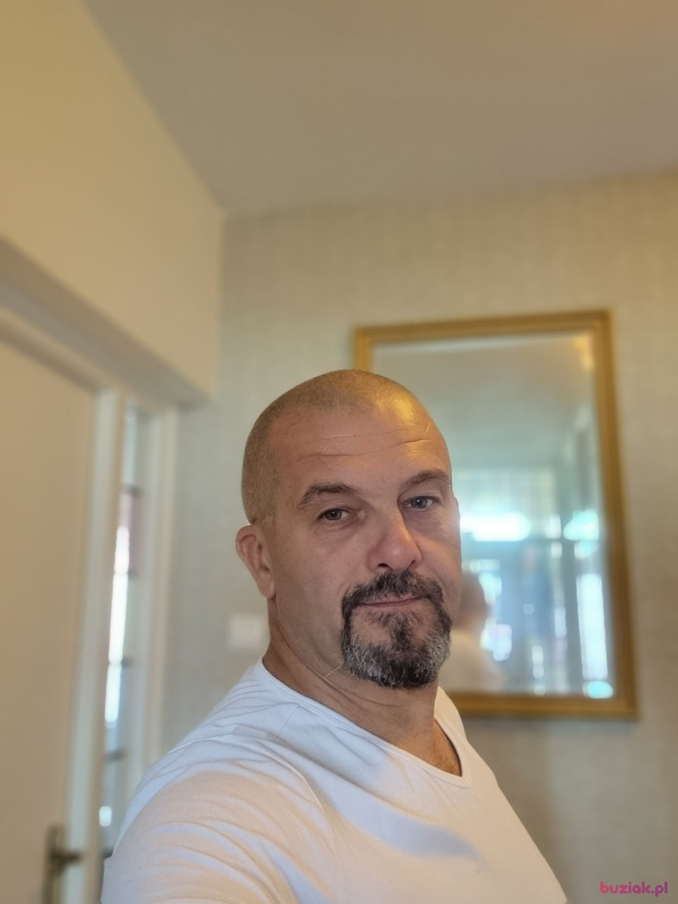 andy, Mężczyzna, 53, Holandia, Zdjęcie: 1