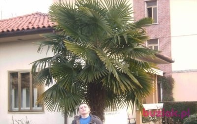 Bartek, Mężczyzna, 35, Ostrów Wielkopolski, Polska, Zdjęcie: 4