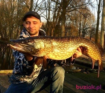 Szymon, Male, 41, Holandia, Photo: 2