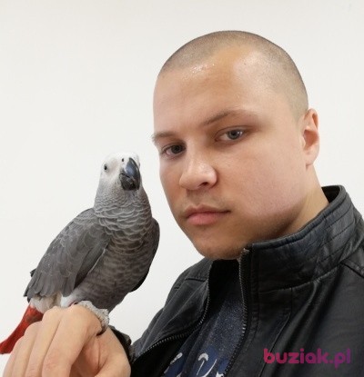 Bartosz, Mężczyzna, 33, Lubin, Polska: 1