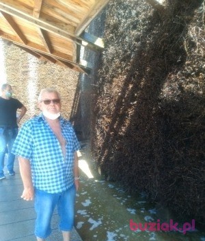 Stanislaw, Male, 72, Oświęcim, Polska, Photo: 2