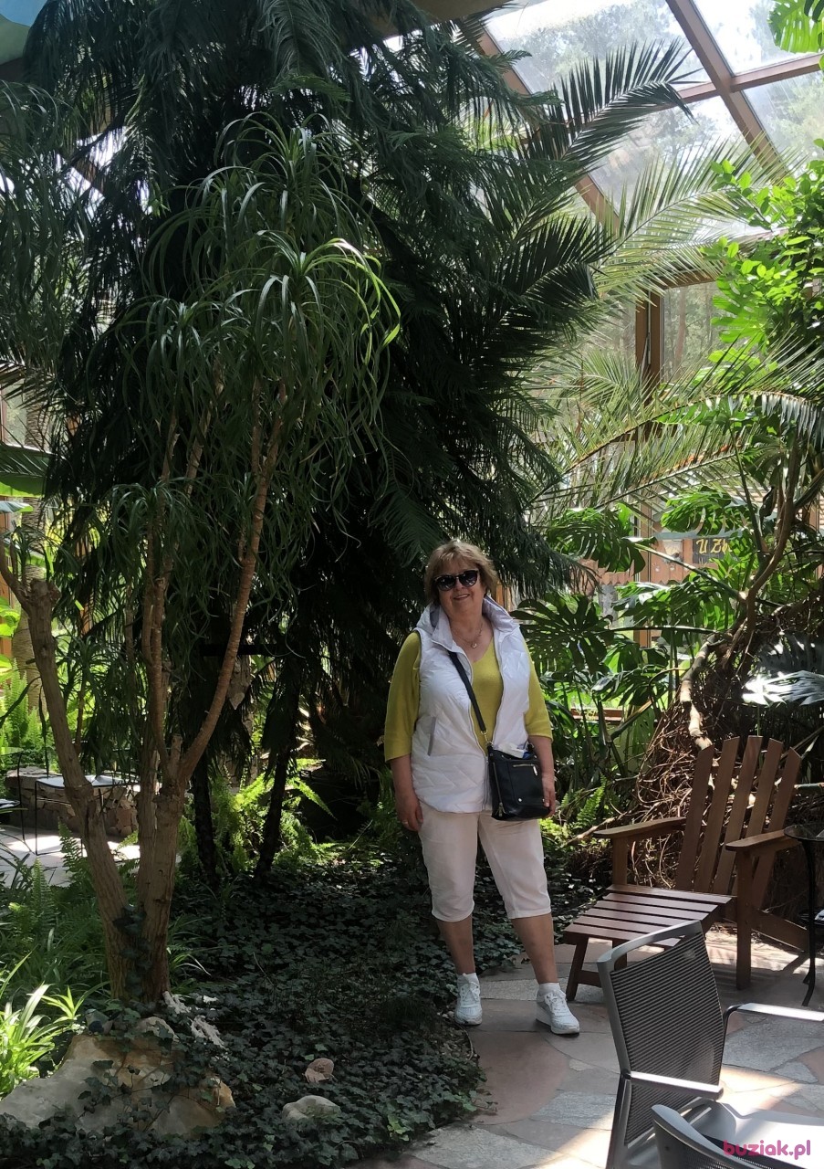 Teresa, Female, 69, Westminster, Wielka Brytania, Photo: 6