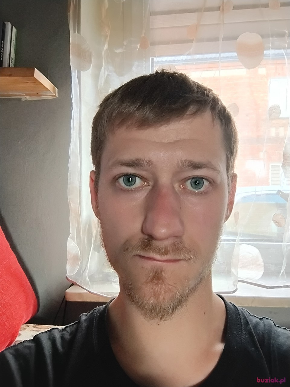 Sylwester, Male, 33, Koziegłowy, Polska: 1