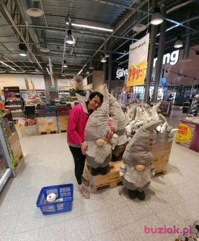 Sylwia , Kobieta, 48, Gniezno, Polska, Zdjęcie: 3