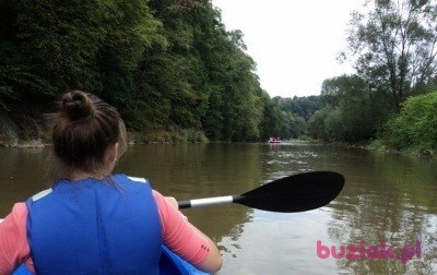 Dorota, Kobieta, 36, Wrocław, Polska, Zdjęcie: 5