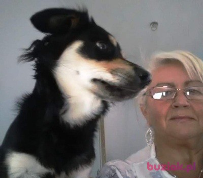 Danuta, Female, 64, Bieruń, Polska, Photo: 2