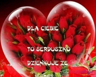 ramedlaw, Mężczyzna, 65, Gliwice, Polska, Zdjęcie: 8