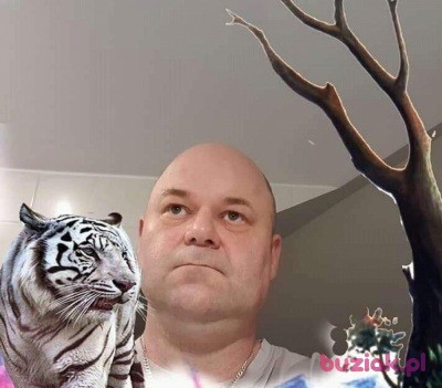 Jacek , Male, 50, Krosno, Polska, Photo: 2
