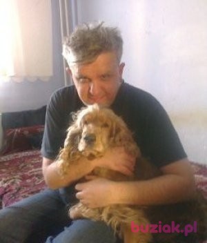 andrzej, Mężczyzna, 53, Piła, Polska: 1