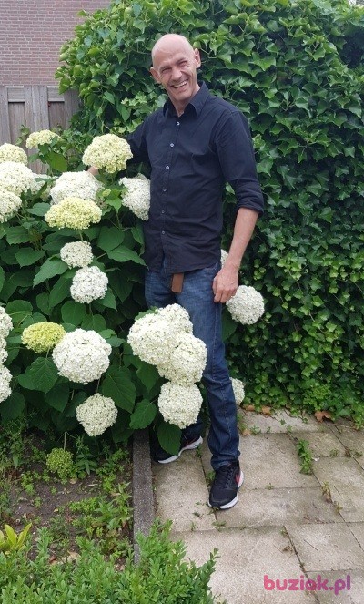 Sebroz, Male, 48, Haarlem North Holland Province, Holandia, Photo: 4