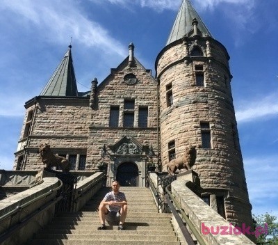 Michał , Male, 38, Holandia: 1