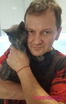 Kola, Male, 54, Breda, Holandia, Photo: 1
