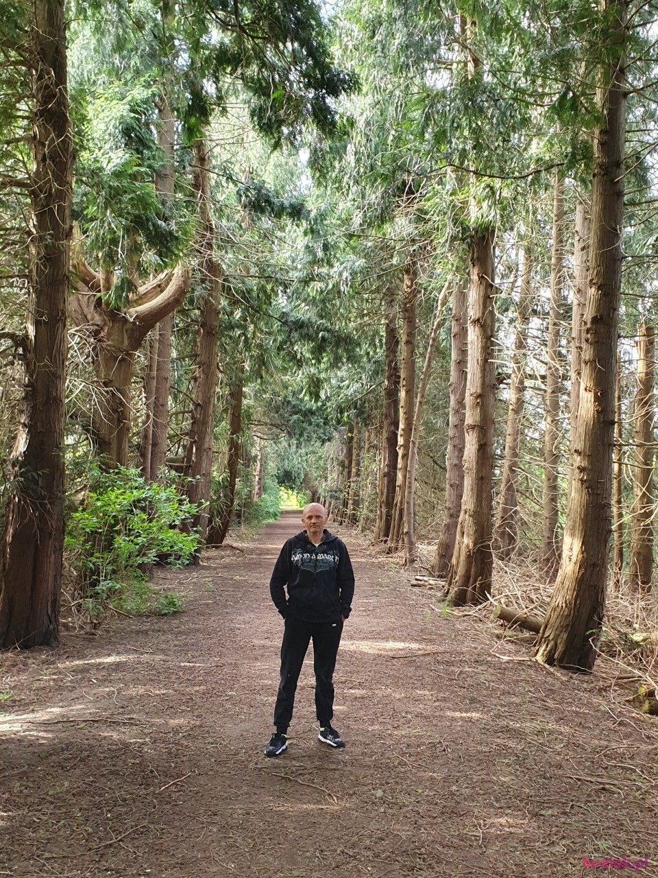 Tomasz, Mężczyzna, 42, Duisburg, Niemcy, Zdjęcie: 3