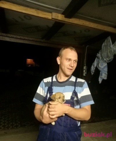 Łukasz, Mężczyzna, 34, Mieszkowice, Polska: 1