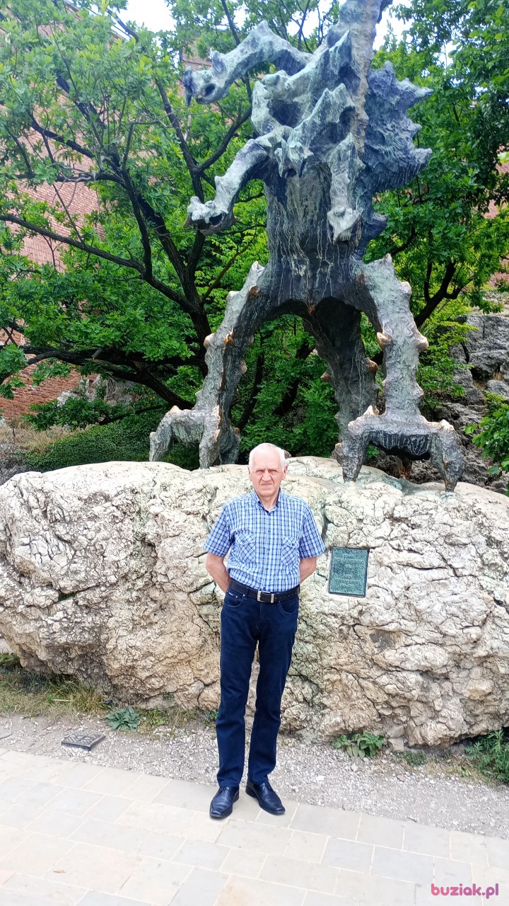 Bogdan, Mężczyzna, 63, Józefów, Polska, Zdjęcie: 1