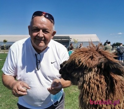 Wojtek, Mężczyzna, 71, Wrocław, Polska, Zdjęcie: 1