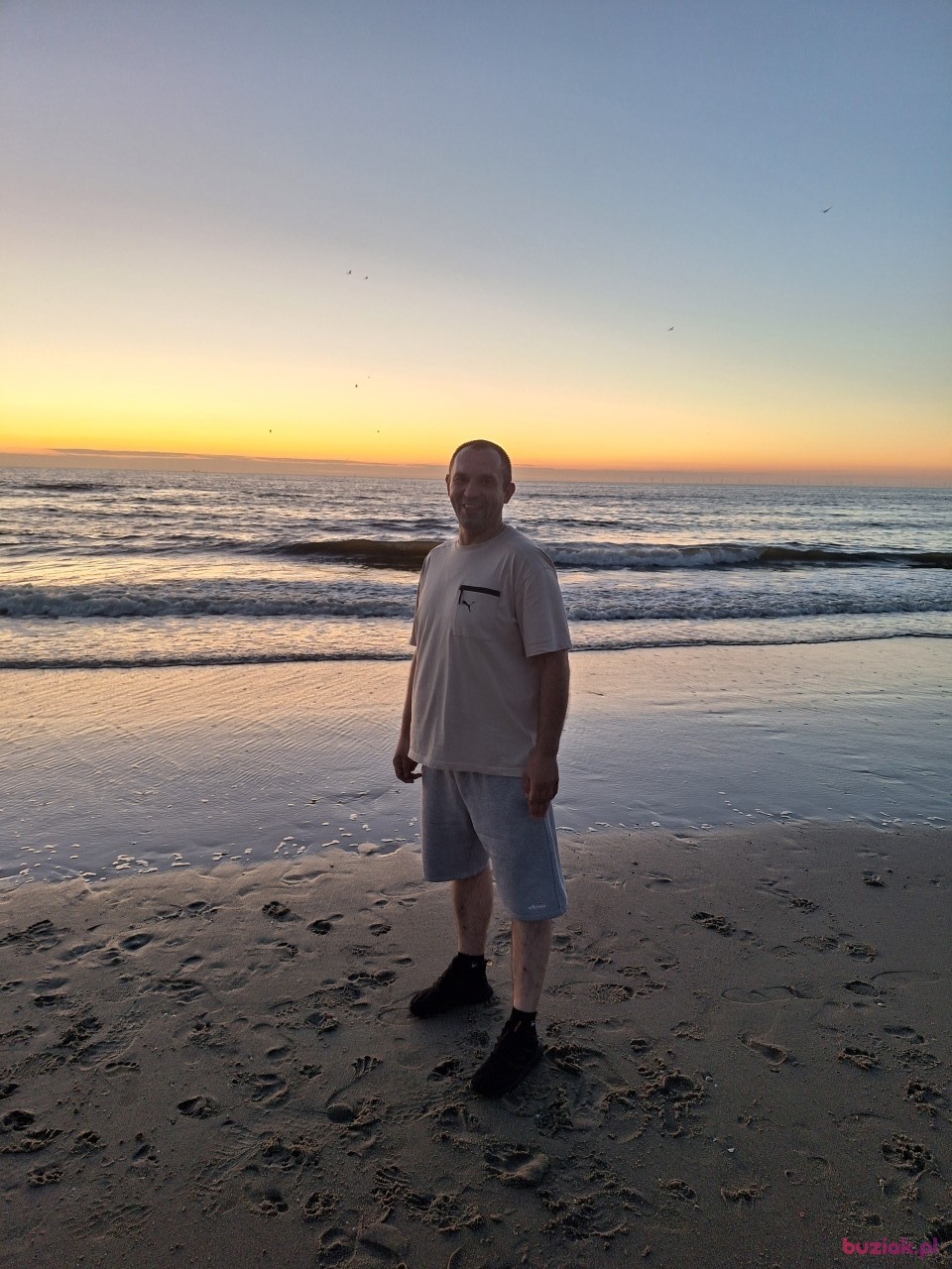 Pawel, Mężczyzna, 41, Rotterdam South Holland Province, Holandia, Zdjęcie: 3