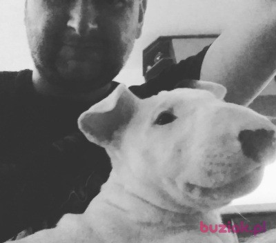 Łukasz, Mężczyzna, 43, Gdynia, Polska, Zdjęcie: 2