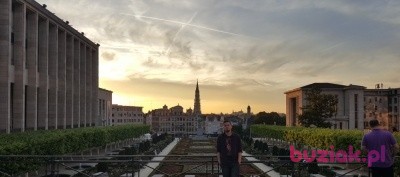 Adrian, Male, 33, Gdańsk, Polska, Photo: 3