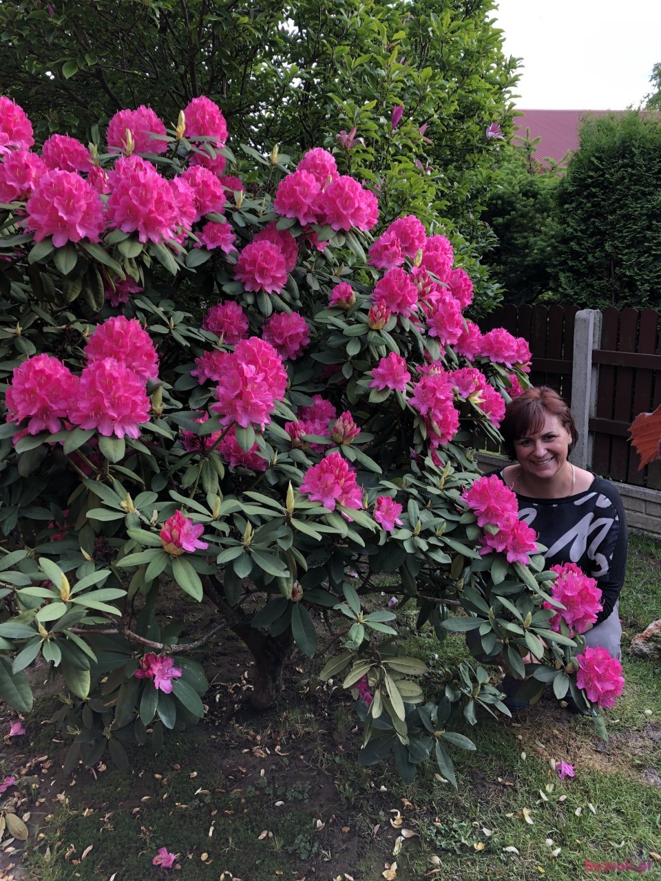 Basia, Kobieta, 60, Bielsko-Biała, Polska: 1