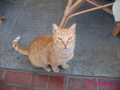 KKKKK, Male, 58, Polska, Photo: 2
