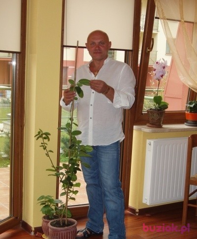 oskar45, Mężczyzna, 55, Kraków, Polska: 1