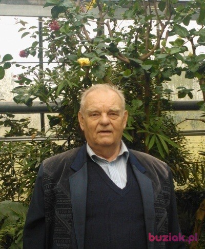 Antoni, Mężczyzna, 77, Radzymin, Polska, Zdjęcie: 2