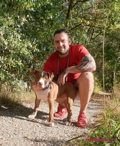 Jakub, Male, 44, Holandia: 1
